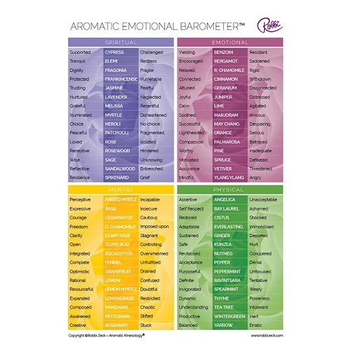 Kinesiology Emotion Chart