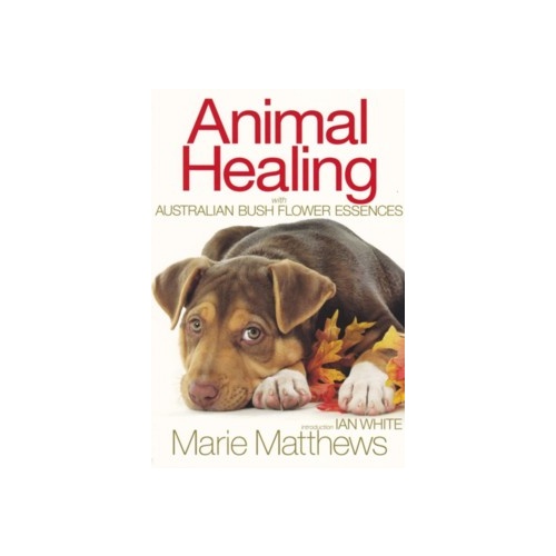 Animal Healing