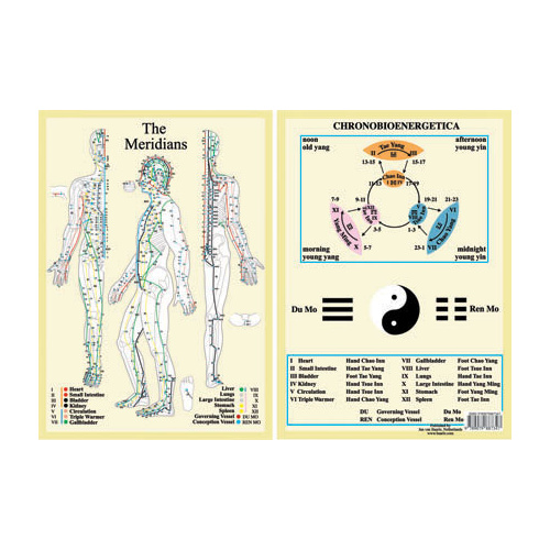 Acupuncture Meridians A4