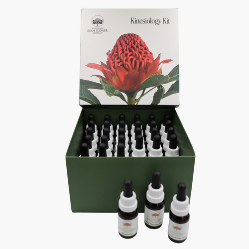 Applied Physiology (Kinesiology) Component Kit