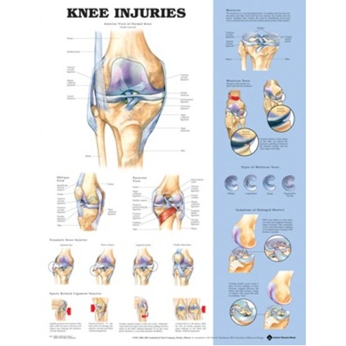 Knee Injuries (sale)