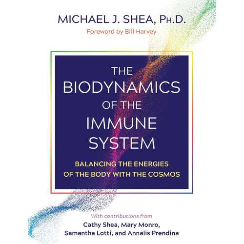 Biodynamics of the Immune System