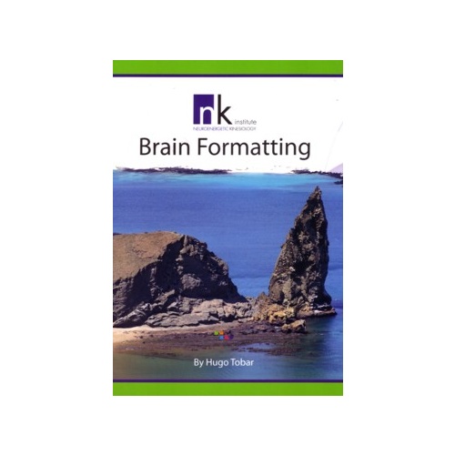 Brain Formatting