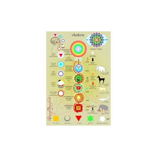 Chakra Wall Chart A2