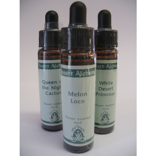 Desert Alchemy Single Bottles