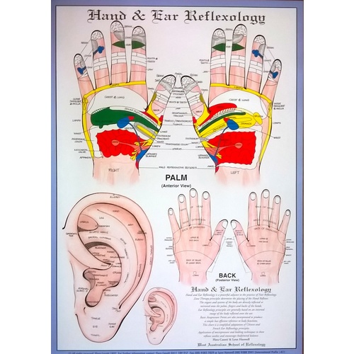 Cranial Reflexology Chart