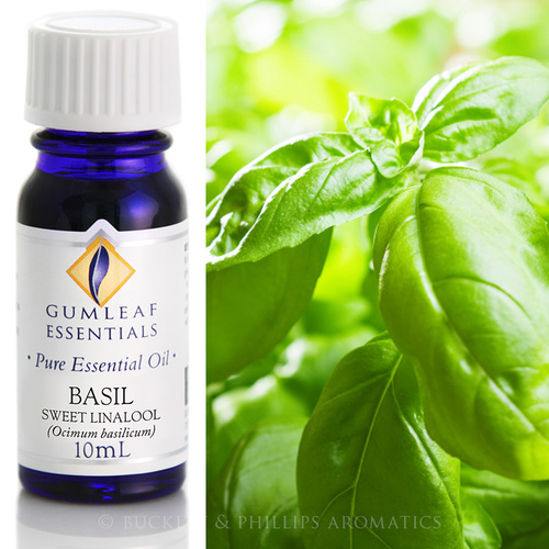 Basil Sweet
