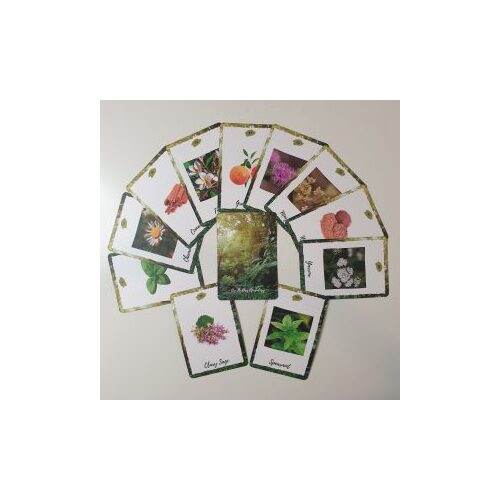 Essential Oil Cards