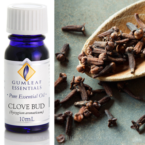 Clove