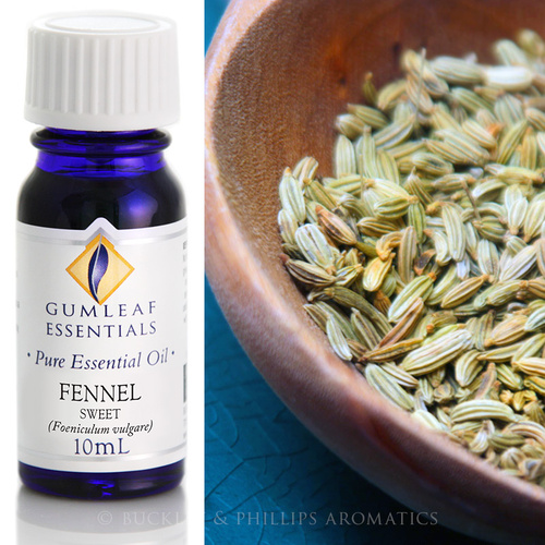 Fennel