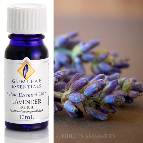 Lavender