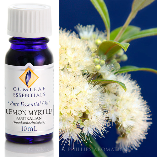 Lemon Myrtle