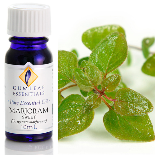 Marjoram