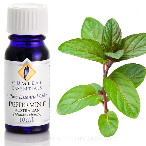 Peppermint