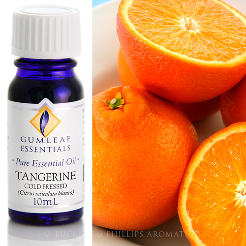 Tangerine (sale)