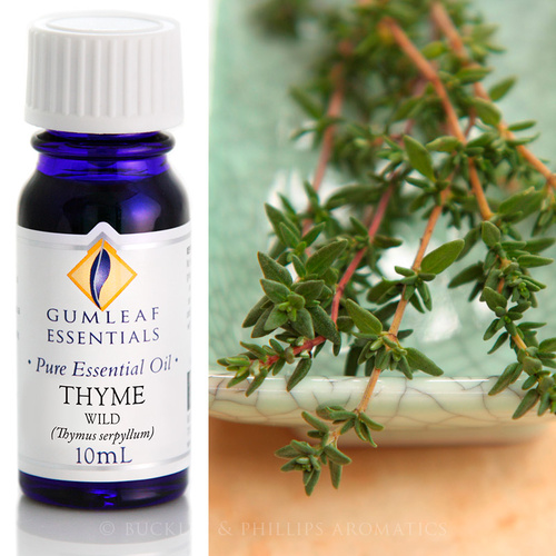 Thyme