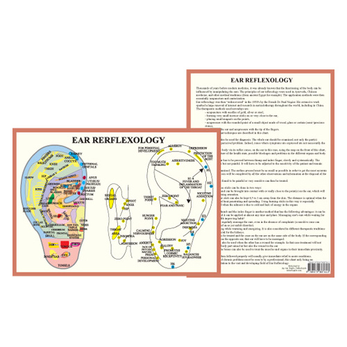 Cranial Reflexology Chart