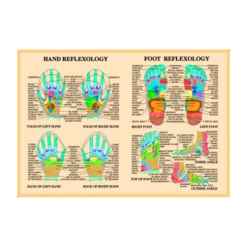 Reflexology Hands And Feet Charts