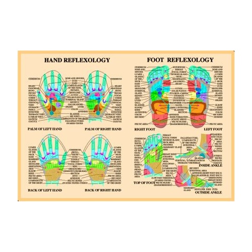 Foot Kinesiology Chart