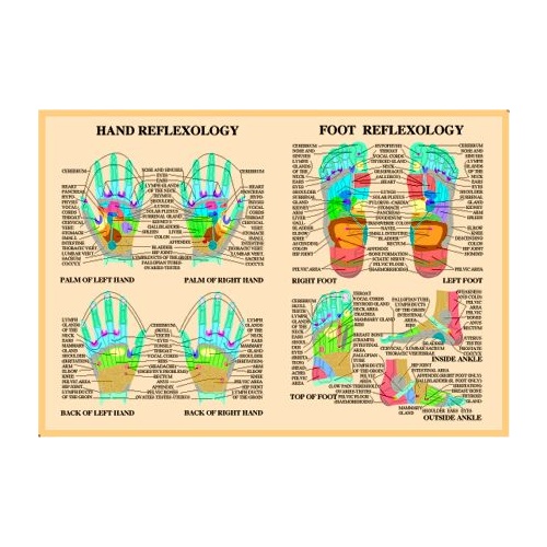 Foot & Hand Reflexology charts (Sale)