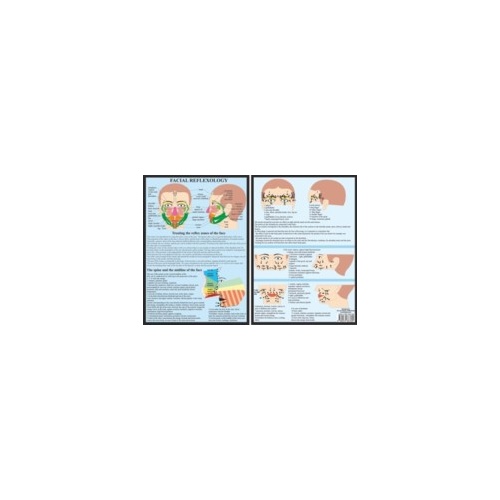 Facial Reflexology A4