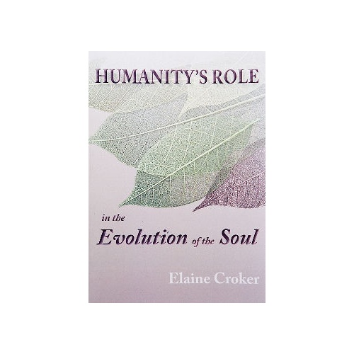 Humanity's Role in the Evolution of the Soul