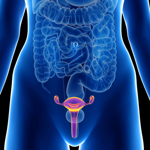 Hormones (HPO/HPG) Test Kit