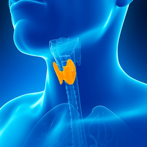 Thyroid (HPT) Test Kit