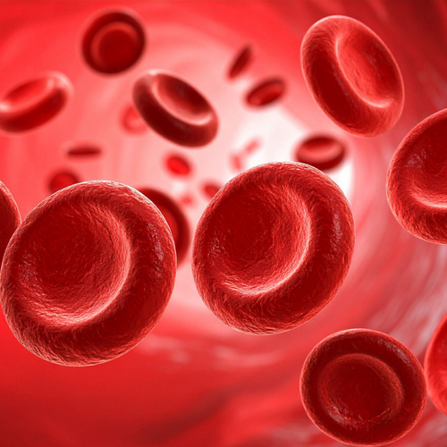 Immune Organs & Glands Kit