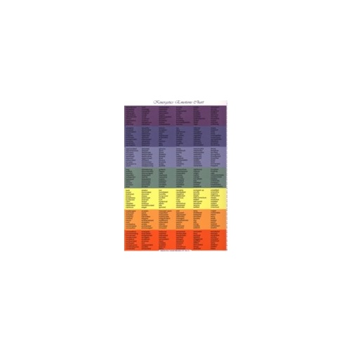 Kinergetics Emotion Chart