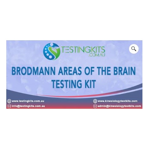 KTK Brodmann Areas Kit