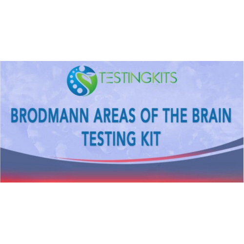 KTK Brodmann Areas Testing Kit PB
