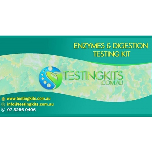 Enzymes & Digestion Testing Kit