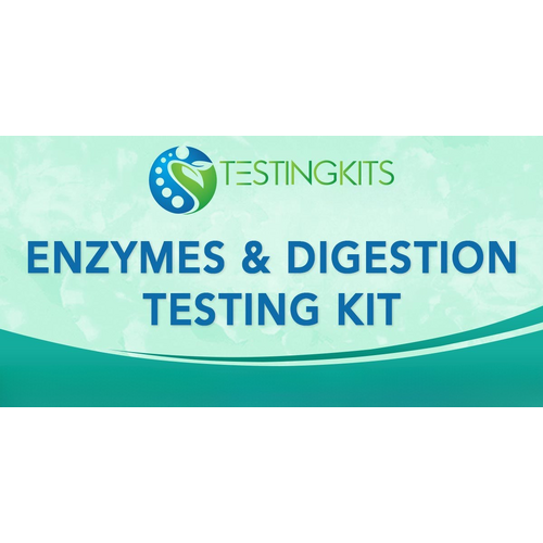 KTK Enzymes & Digestion Testing Kit PB