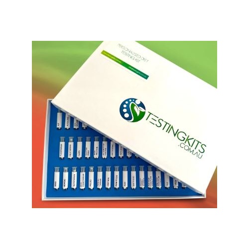 KTK Personalised Diet Testing Kit FTB