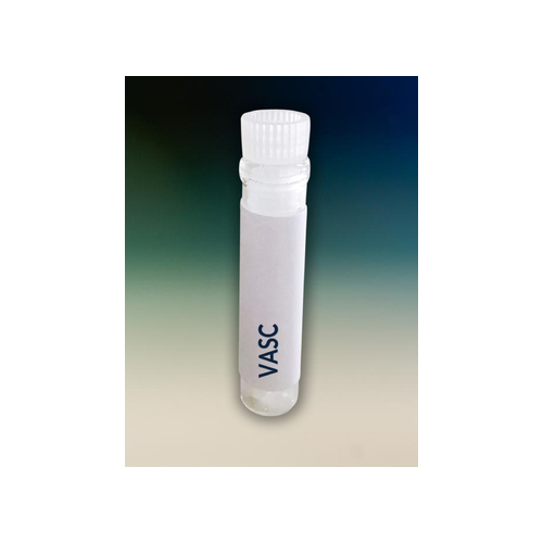 Sinovac Vaccination Vial