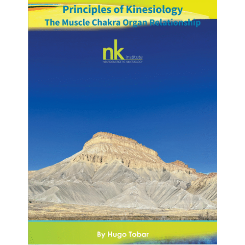 Muscle Chakra Organ Relationship