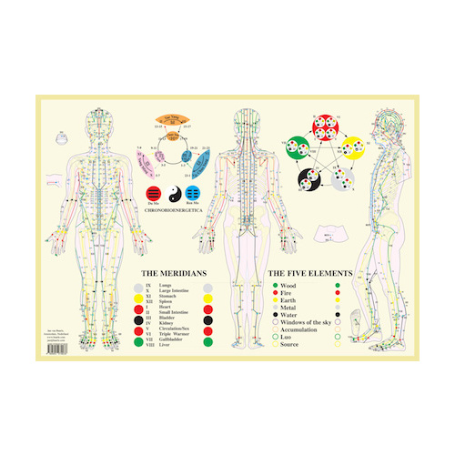 Meridians & the Five Elements Chart (SALE)
