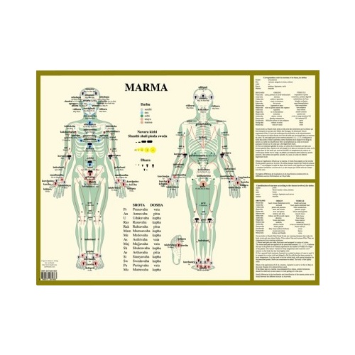 Marma Therapy Wall Chart