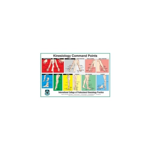 Kinesiology Command Point