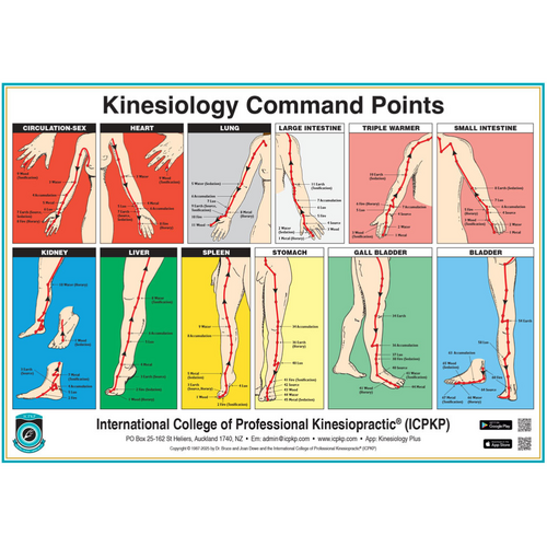 Kinesiology Command Point