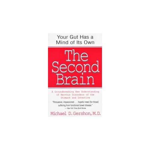 The Second Brain