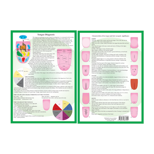 Tongue Diagnosis A4