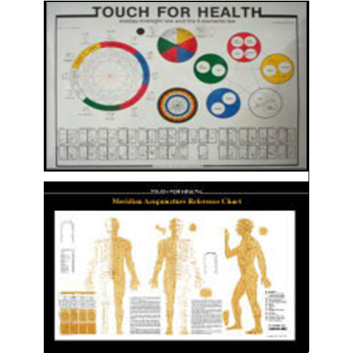 TFH 5 Element & Acupuncture Chart (sale)