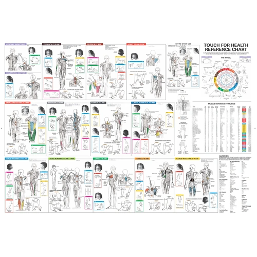 Touch For Health Reference Chart