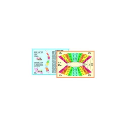 Teeth and Health Chart A4