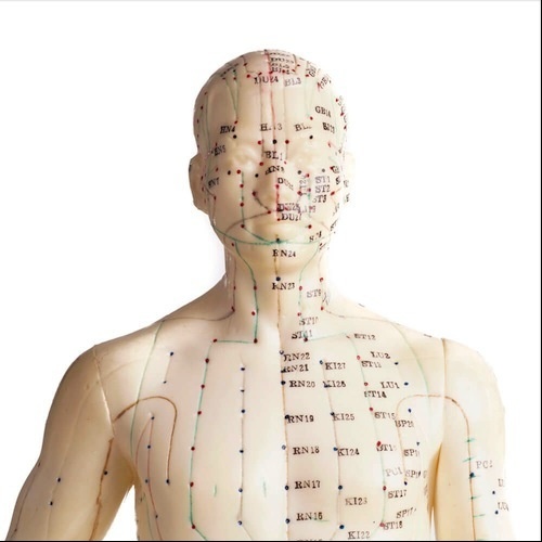 LWP Acupuncture Meridians Test Kit