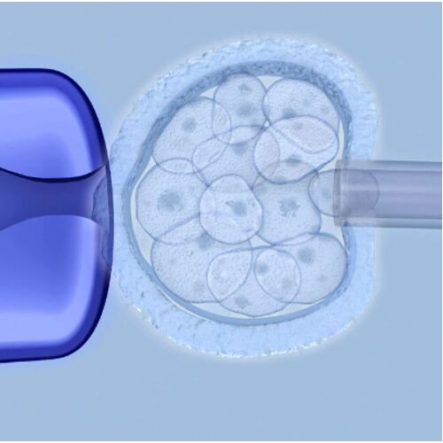 LWP Fertility (IVF) Drugs Test Kit