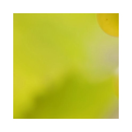 LWP Fungus Test Kit