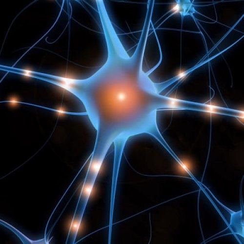 LWP Neurotransmitter Test Kit